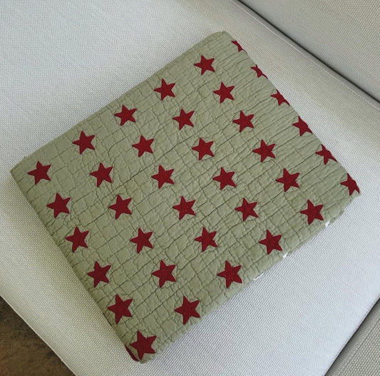 Mini Star in Sage/Crimson ~55x55” Cover-Up Throw Quilt