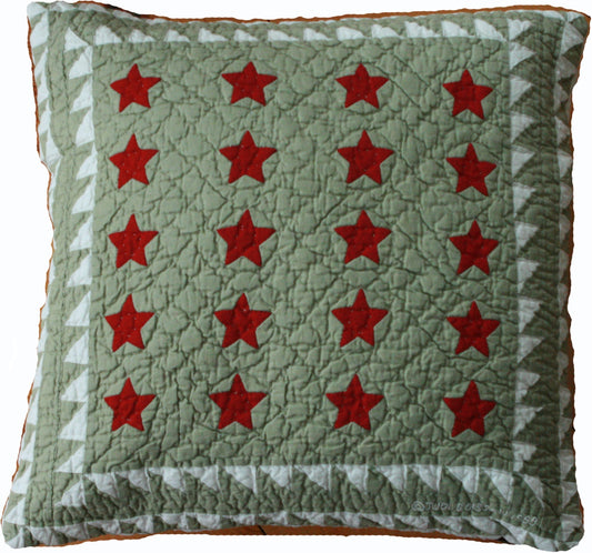 "Patriotic Mini 20 Star" in Sage-Red-White 18" x 18"